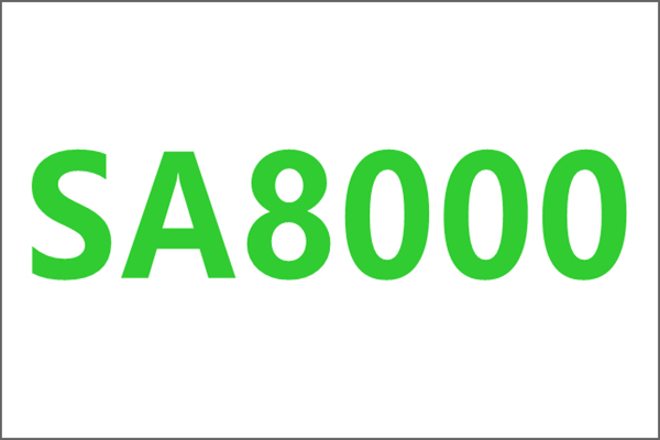 SA8000社会责任管理体系认证会审核哪些方面的内容？