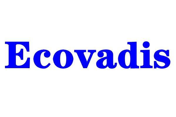 EcoVadis验厂