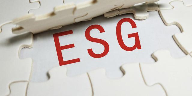 ESG可以为公司带来什么价值？